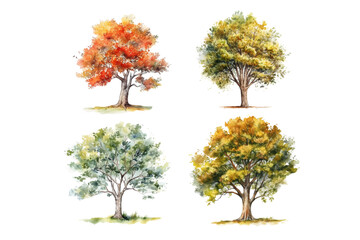 Tree Drawing painted with watercolors on a white background,Watercolor trees collection. Vector set