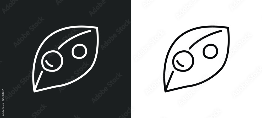 Poster dew line icon in white and black colors. dew flat vector icon from dew collection for web, mobile ap