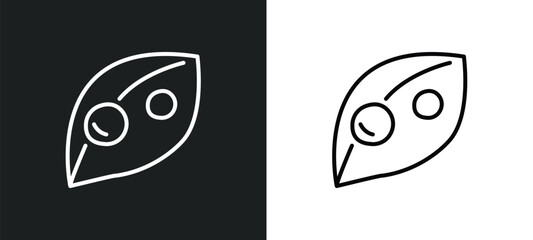 Fototapeta na wymiar dew line icon in white and black colors. dew flat vector icon from dew collection for web, mobile apps and ui.