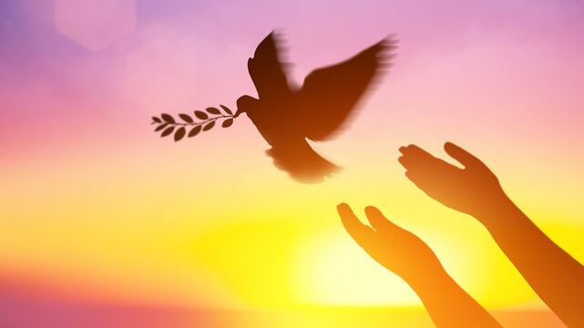 Silhouette pigeon flying carry olive branch two hands in air vibrant sunlight sunset sunrise background. Freedom making merit concept. Animal people hope pray holy faith. International Day of Peace.