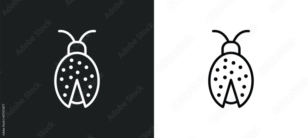 Poster ladybug toy line icon in white and black colors. ladybug toy flat vector icon from ladybug toy colle