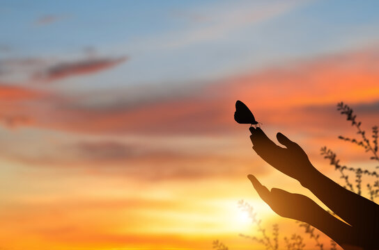 Silhouette hand of woman praying and butterfly flew to the hand with nature on sunrise and orange background with sunlight..