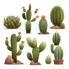 Fotobehang Cactus cactus and flowers. set of cactus