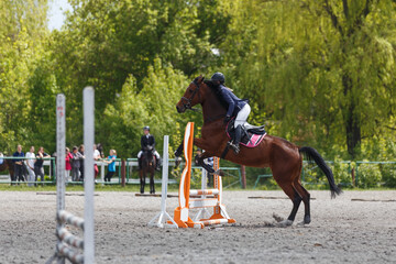 Young woman riding horseback jumping over the hurdle on showjumping course in equestrian sports...