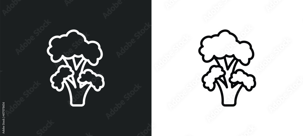 Poster black locust tree line icon in white and black colors. black locust tree flat vector icon from locus