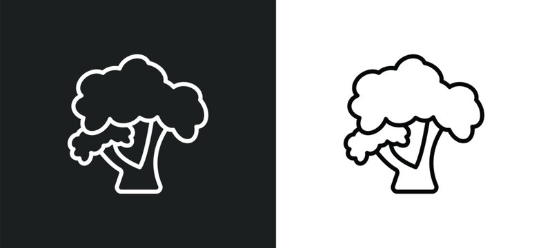 honey-locust tree line icon in white and black colors. honey-locust tree flat vector icon from honey-locust tree collection for web, mobile apps and ui.