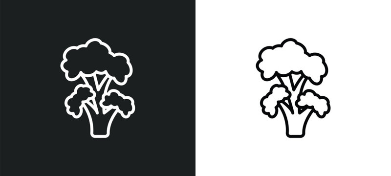 black locust tree line icon in white and black colors. black locust tree flat vector icon from locust tree collection for web, mobile apps and ui.