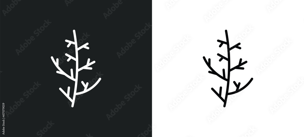 Poster cypress leaf line icon in white and black colors. cypress leaf flat vector icon from cypress leaf co
