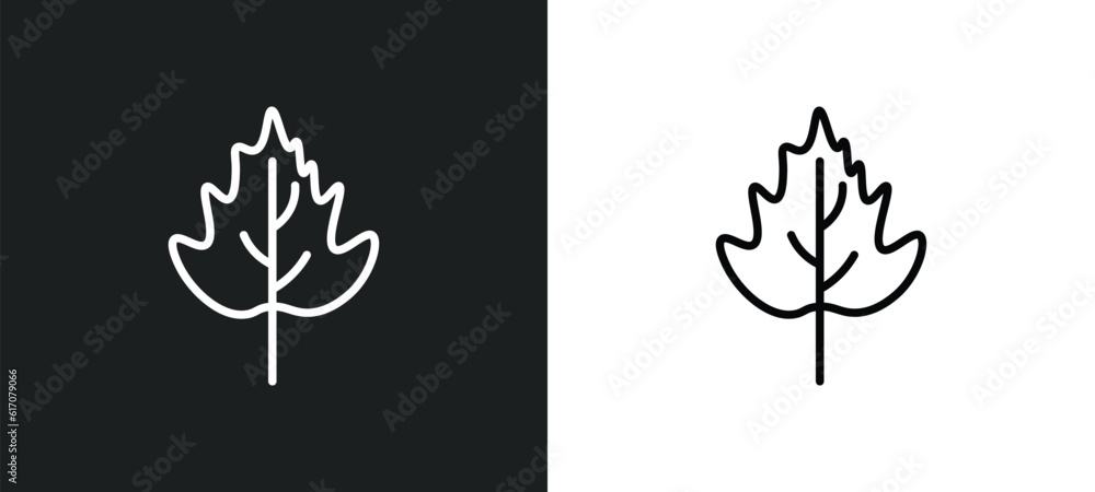 Poster hawthorn leaf line icon in white and black colors. hawthorn leaf flat vector icon from hawthorn leaf