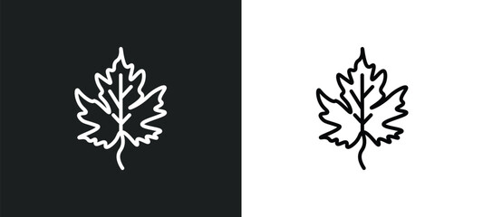 gooseberry leaf line icon in white and black colors. gooseberry leaf flat vector icon from gooseberry leaf collection for web, mobile apps and ui.