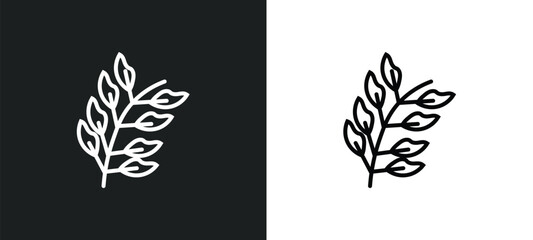 Obraz premium bilberry leaf line icon in white and black colors. bilberry leaf flat vector icon from bilberry leaf collection for web, mobile apps and ui.