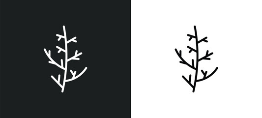 cypress leaf line icon in white and black colors. cypress leaf flat vector icon from cypress leaf collection for web, mobile apps and ui.
