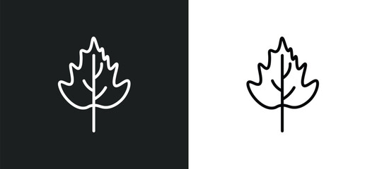 hawthorn leaf line icon in white and black colors. hawthorn leaf flat vector icon from hawthorn leaf collection for web, mobile apps and ui.