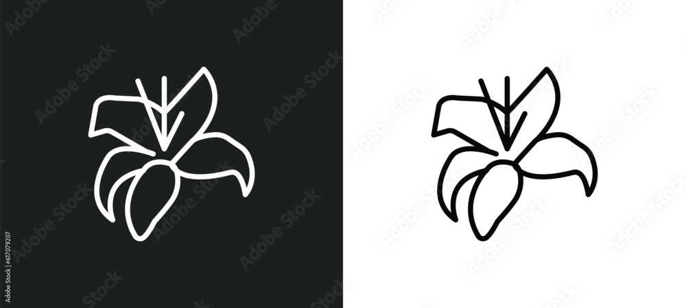 Poster lily line icon in white and black colors. lily flat vector icon from lily collection for web, mobile