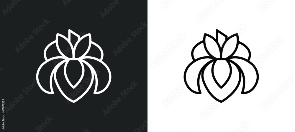 Poster iris line icon in white and black colors. iris flat vector icon from iris collection for web, mobile