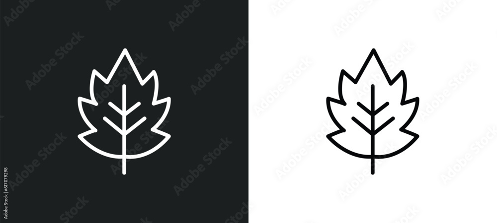 Wall mural hawthorn line icon in white and black colors. hawthorn flat vector icon from hawthorn collection for