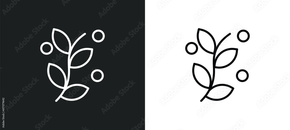 Poster botanical line icon in white and black colors. botanical flat vector icon from botanical collection 
