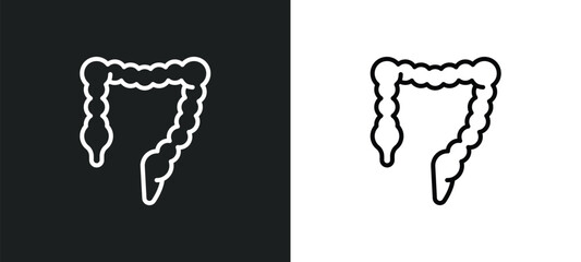 colon line icon in white and black colors. colon flat vector icon from colon collection for web, mobile apps and ui. - obrazy, fototapety, plakaty