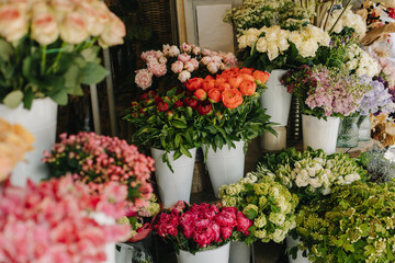 Beautiful colorful flowers in a Flower shop.
