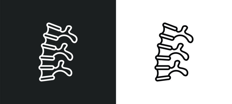 human spine line icon in white and black colors. human spine flat vector icon from human spine collection for web, mobile apps and ui.