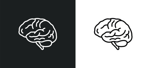 neurology line icon in white and black colors. neurology flat vector icon from neurology collection for web, mobile apps and ui.