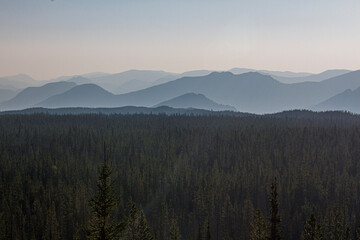 fog in the mountains