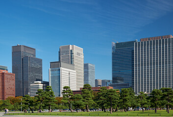 Obraz premium Skyscrapers of Marunouchi district, viewed through the Kokyo Gaien National Garden. Tokyo. Japan