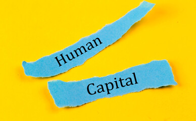 HUMAN CAPITAL text on a blue pieces of paper on yellow background, business concept