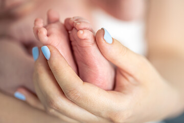 Close-up, the feet of a newborn in the hands of the mother.