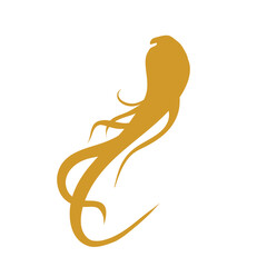 Gingseng Root Vector