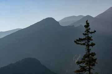 mountains in the fog