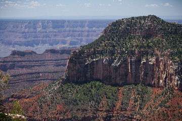 grand canyon state