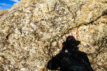 silhouette of a person