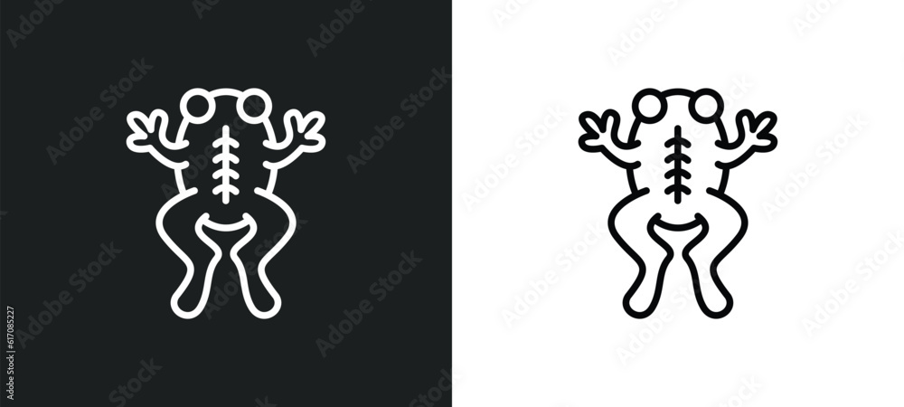 Poster frog line icon in white and black colors. frog flat vector icon from frog collection for web, mobile