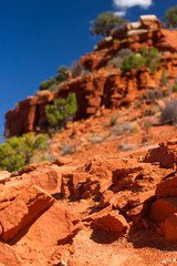 red rock canyon