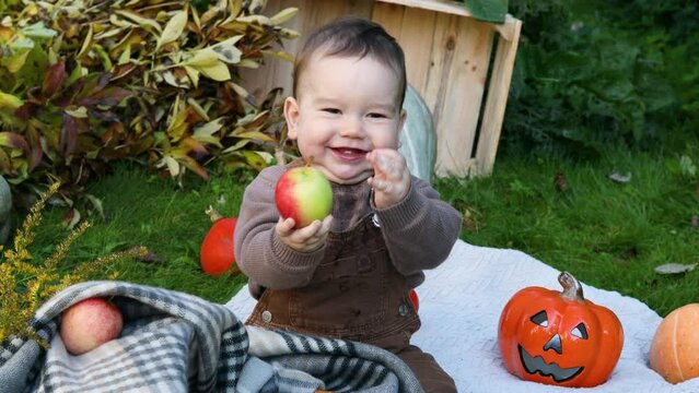 Cute small baby boy sitting near pumpkins and apples on sunny autumn day in garden. Kid trick or treating on Halloween. Family time at Thanksgiving and Halloween. Festive season in October.