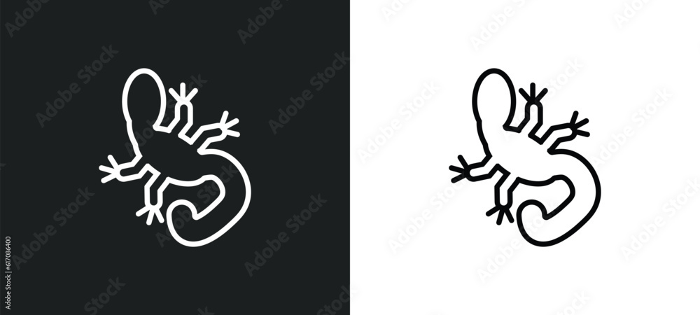 Poster gecko top view shape line icon in white and black colors. gecko top view shape flat vector icon from