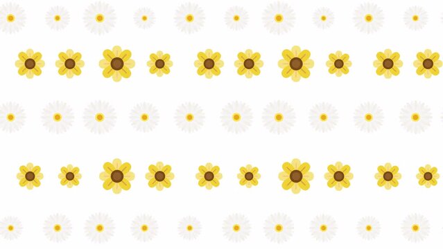 Sunflower and Daisy Seamless Pattern background. Fresh Floral pattern looped animated background. Cute flower pattern in flat design 

