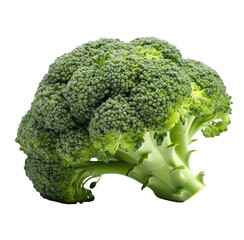Fresh Broccoli Flower and Stem on Transparent Background