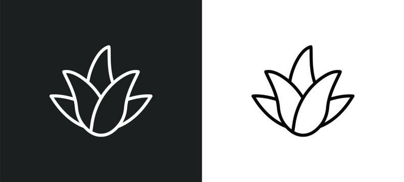 aloe vera line icon in white and black colors. aloe vera flat vector icon from aloe vera collection for web, mobile apps and ui.
