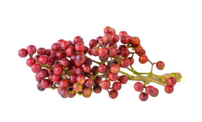 Szechuan pepper (Zanthoxylum piperitum), fruits isolated against on transparent png