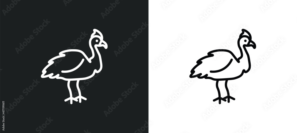 Poster cassowary line icon in white and black colors. cassowary flat vector icon from cassowary collection 