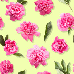 Seamless pattern of pink peony flowers photo on light yellow color background