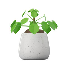 Pilea Peperomioides Plant  3D Illustrations