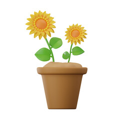 Sun Flower Plant 3D Illustrations