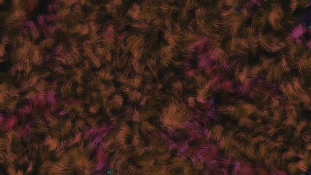 Abstract Colorful fur pattern animation