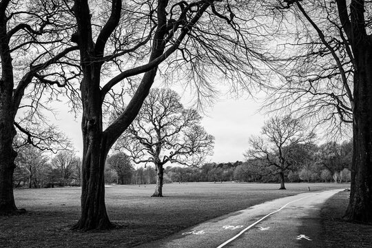 Black and white image of a country park in winter, Witten park, Blackburn, Lancashire, England