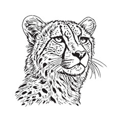 Cheetah head vector illustration on a white background. Vintage Cheetah illustration