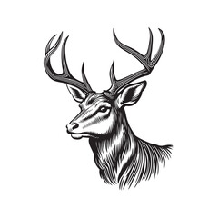 Deer head vector illustration on a white background. Vintage deer illustration