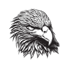 Eagle head vector illustration on a white background. Vintage Eagle illustration